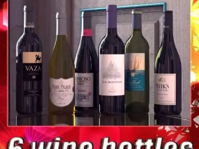 6 Wine Bottles Collection 3D model