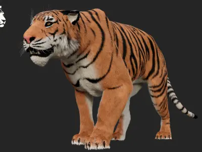 Tiger 3D model