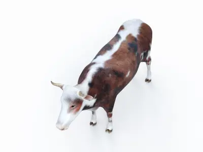 Cow kine Low-poly 3D model
