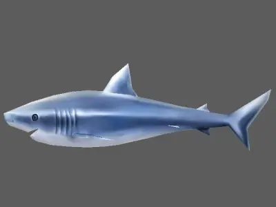 Shark Low-poly 3D model