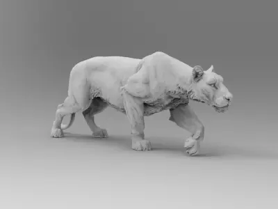 Lion - 3D model shop