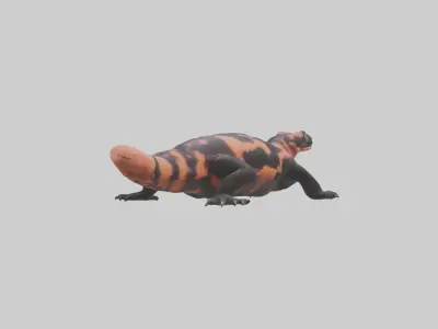 Gila Monster sunning model Low-poly 3D model