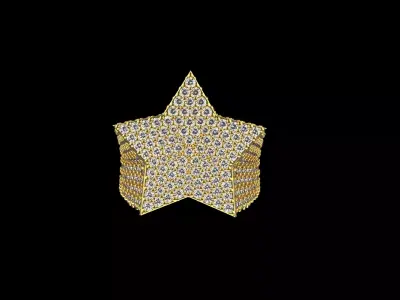 star ring model 797 3D print model