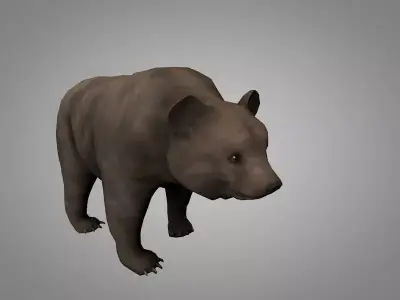 Grizzly Bear Low-poly 3D model shop