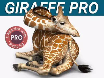 Giraffe PRO 3D model
