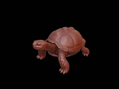 Turtle Animal Sculpture 3D print model get