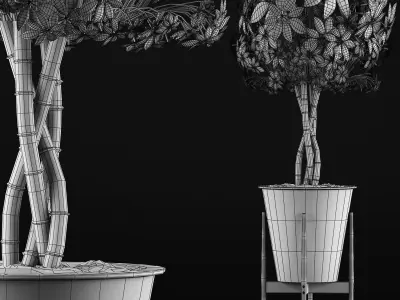 Plants Collection 54 3D model