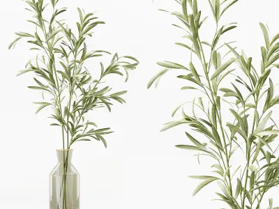 Collection Indoor Plants 016 3D model