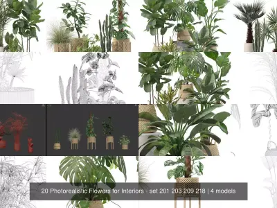 20 Photorealistic Flowers for Interiors - set 201 203 209 218 3D Model Collection
