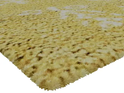 Rug Set 1899 3D model