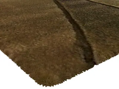 Rug Set 1204 3D model