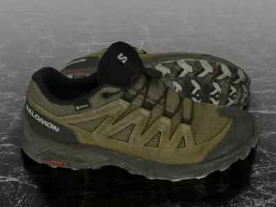 SALOMON X WARD LEATHER 3D SHOES 3D model