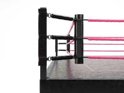 Wrestling Ring OVER SIZED 3D model