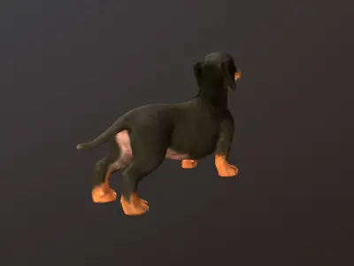 dachshund dog pet Low-poly 3D model