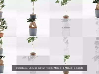 Collection of Chinese Banyan Tree 3D Models - 5 Models