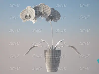 Pink Orchid 3D model