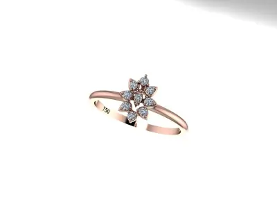 Shine Ring 3D print model