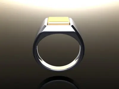 Square Signet Ring Two Tone Mix Size 3D print model