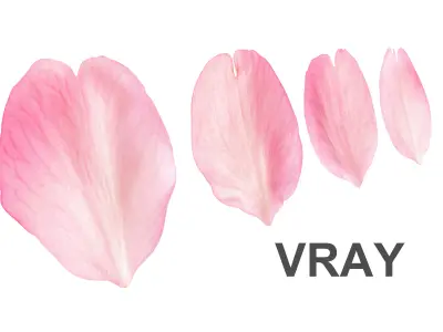 Flying Petals Pack  Low-poly 3D model