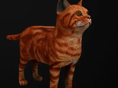 Cat 3D model orange tabby Low-poly 3D model