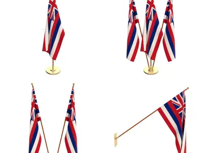 Hawaii Flag Pack 3D model