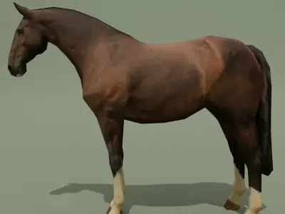 LowPoly Horse C Liver Chestnut Low-poly 3D model