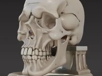 Skull-Themed Book Support Object  3D Printable Model 3D print model