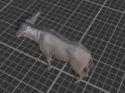 Wildebeest Low-poly 3D model