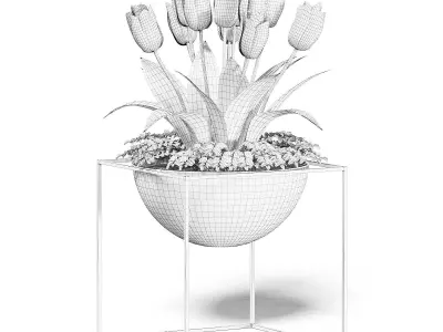White Tulips 3D Model 3D model