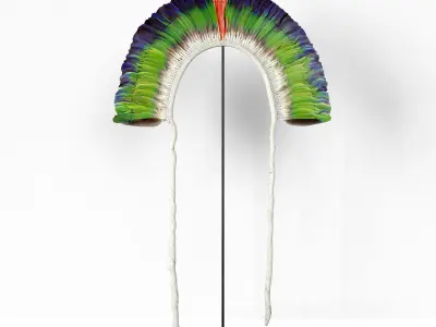 Juruna Tribe Feather Headdress 3D model