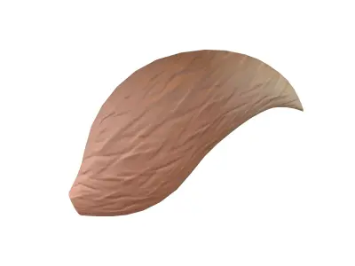Fox Tail v1 002 Low-poly 3D model