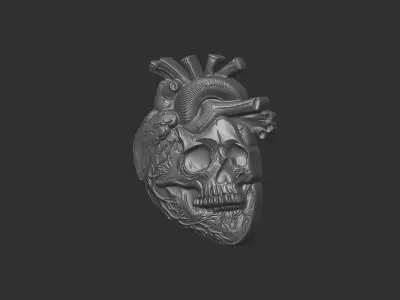  Anatomical Heart Skull 3D Model for CNC Carving and 3D Printing 3D print model