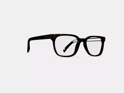 Hector Eyeglasses in Whiskey Tortoise 3D model