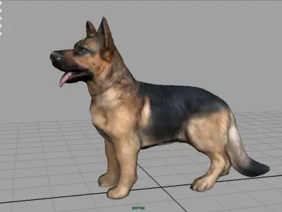 German shepherd Low-poly 3D model