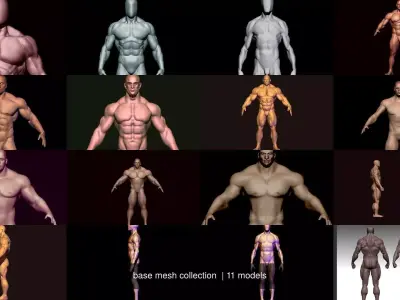 base mesh collection  3D Model Pack
