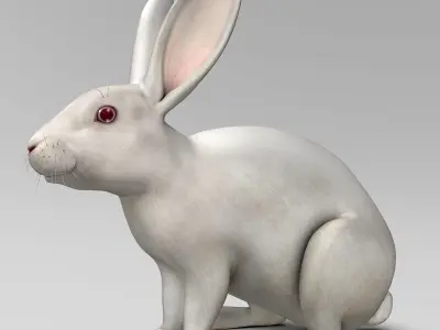 Rabbit - White 3D model
