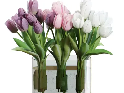 Flower Set 25 - White and Purple Tulips Bouquet 3D model