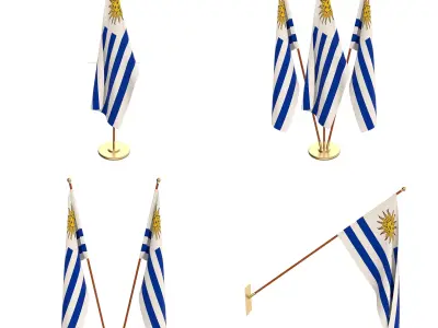 Uruguay Flag Pack 3D model