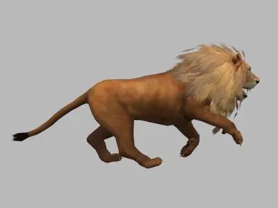 lion run loop 3D model
