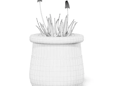 Flowers 3D Model in Large Modern Pot 3D model