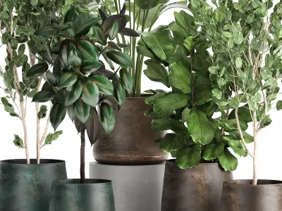 Houseplants in a flowerpot for the interior 942 3D model