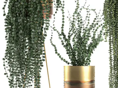 Plants in gold pots for the interior 602 3D model