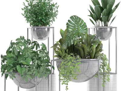 Collection Exotic plants 3D model