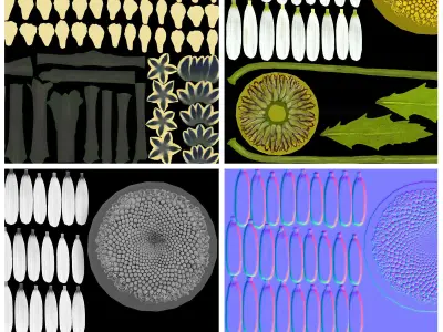 flower set 3 daisies in vase 3D model