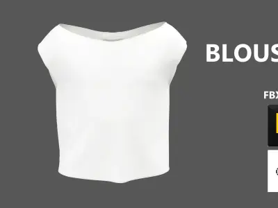 Summer Blouse Marvelous Designer 3D model