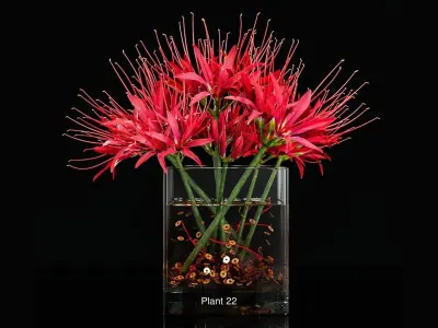 Plant collection 3 tropical arrangement in glass vase