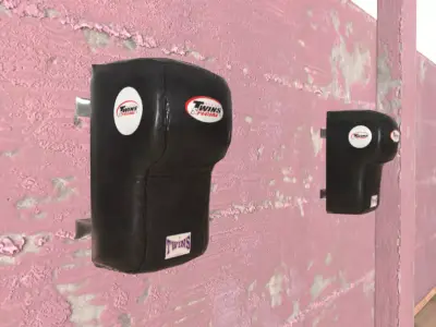 Cushion pair of airbags on wall 3D model