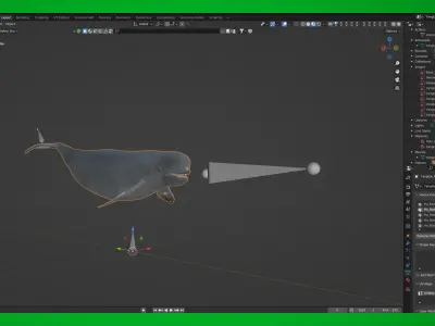 Yangtze Finless Porpoise Low-poly 3D model