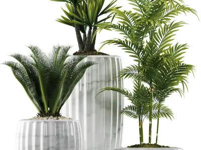 plants set 140 3D model
