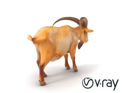 Beige Coat Curved Horn Goat model pack Low-poly 3D model